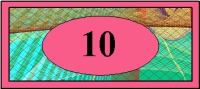 b1