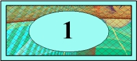 b1