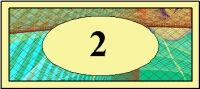 b1