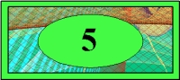 b1